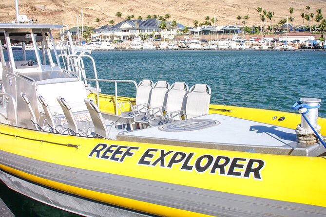 Maui Snorkel Adventure: Molokini Crater and Turtle Cove - Lunch, Snacks, and What You Need to Pack