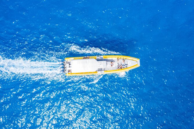 Maui Snorkel Adventure: Molokini Crater and Turtle Cove - Turtle Cove and the Art of Waiting