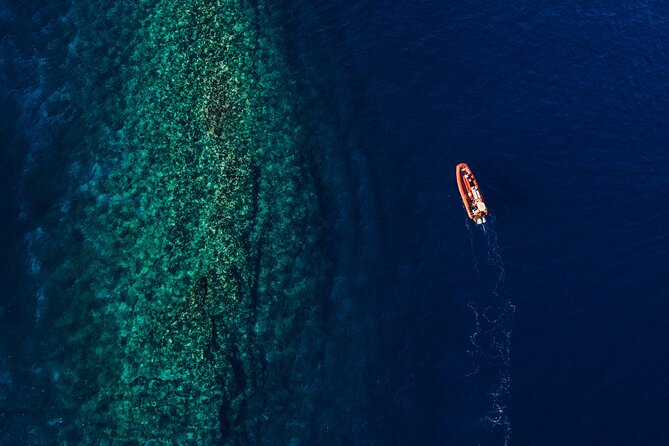 Maui South Coast and Molokini Crater Adventure from Kihei - Molokini’s back wall, the trip’s special access