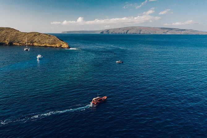 Maui South Coast and Molokini Crater Adventure from Kihei - Turtle Town and the chance to see green sea turtles