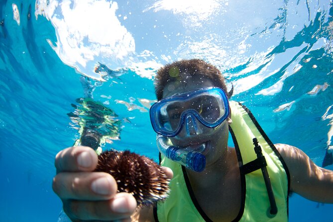 Mauna Kea 3hr Two Stop Sealife Snorkel Adventure - Key points at a glance