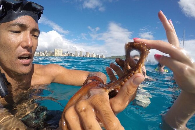 Mauna Kea 3hr Two Stop Sealife Snorkel Adventure - Two snorkel stops instead of one quick swim