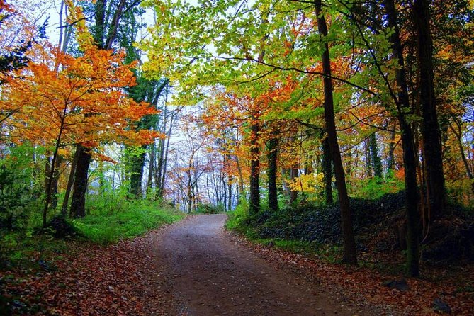 Medieval Villages & La Garrotxa Volcanic Zone Hiking. Small Group Tour - Ramon, Group Size, and Guiding Style