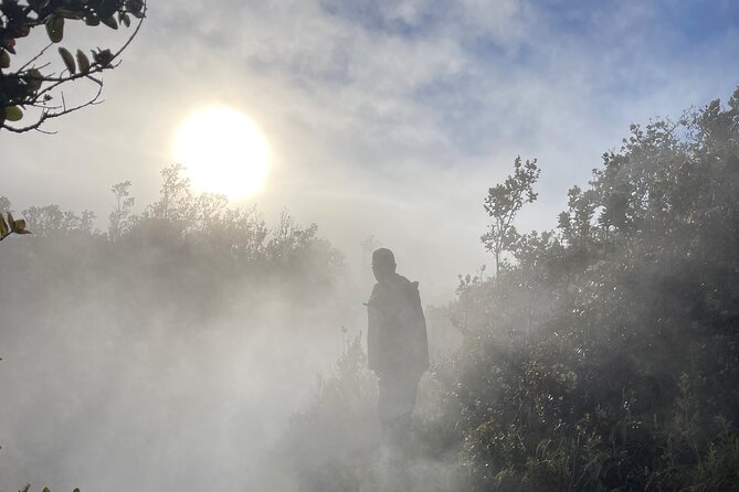 Meet in the park - Private Hawaii Volcanoes National Park Tour - Thurston Lava Tube and the rainforest walk