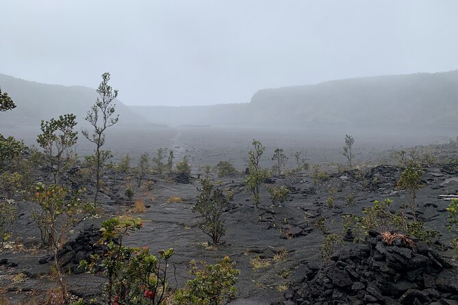Meet in the park - Private Hawaii Volcanoes National Park Tour - Mauna Ulu and old lava close up