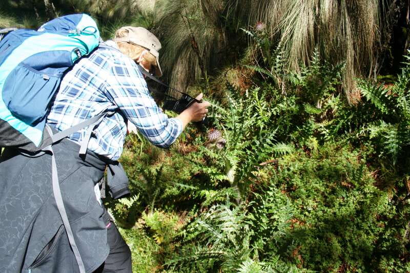 Mexico City: Guided Volcano Trek with Lunch - Hiking toward Cerro Altzomoni