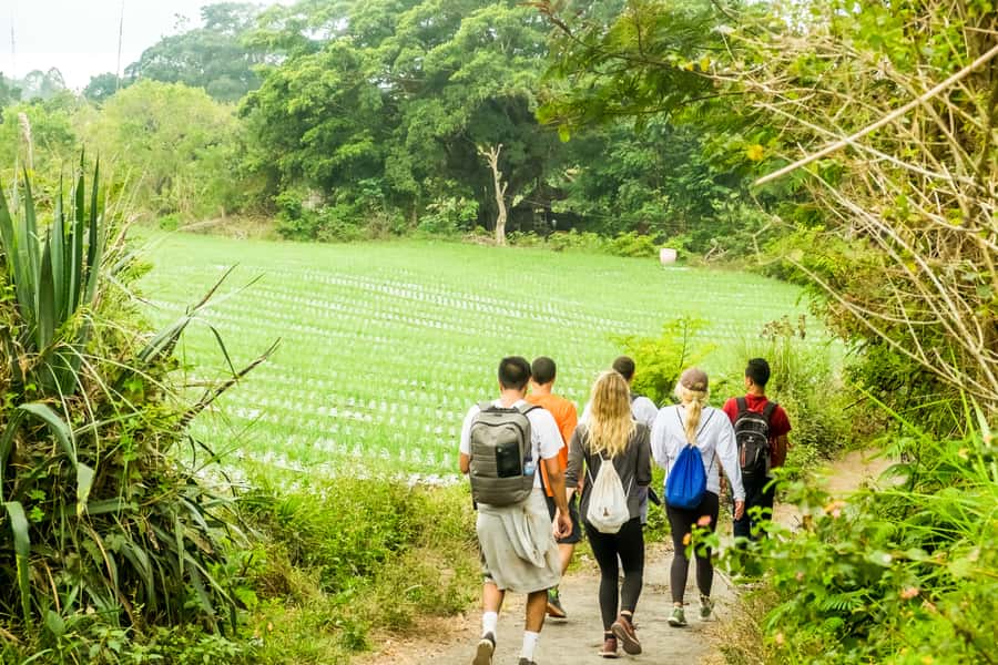 Mount Batur: 2D1N Kintamani Tour with Private Sunrise Hiking - Why the overnight Kintamani plan makes sense