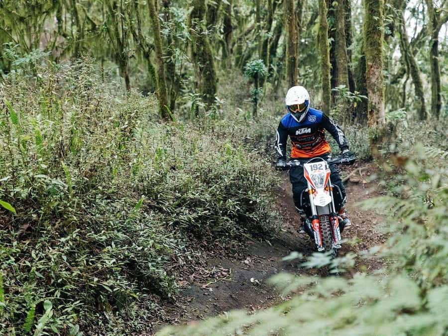 Mount Batur: Sunrise Dirt Bike Trek with Trained Riders - Volcanic craters and the ride back down