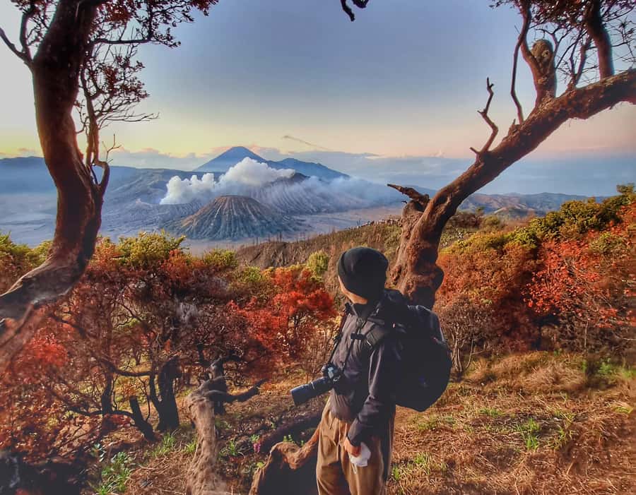 Mount Bromo Sunrise and Madakaripura Waterfall 1 Day Tour - Why this Bromo day works so well