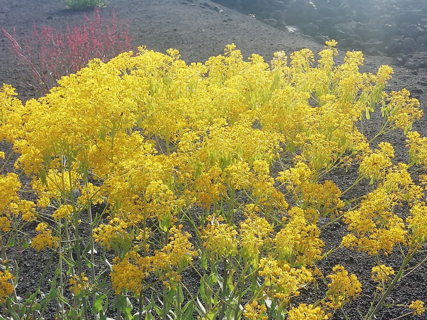 Mount Etna and Alcantara Gorges Day Trip - Walking the Monti Sartorius trail