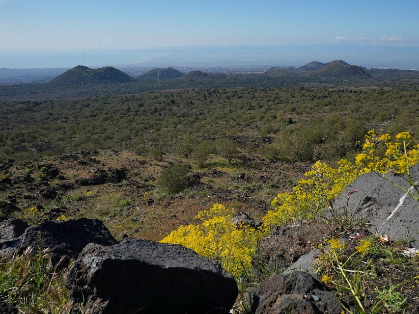Mount Etna: Half-day Morning Jeep Tour - What Fabrizio adds to the experience