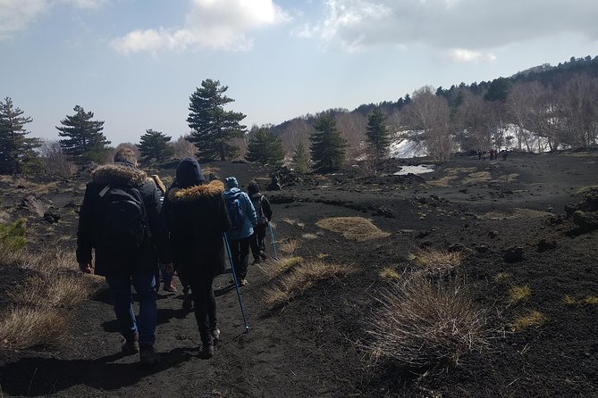 Mount Etna Half-Day Small Group Tour from Taormina - Fitness, weather, and seasonal planning
