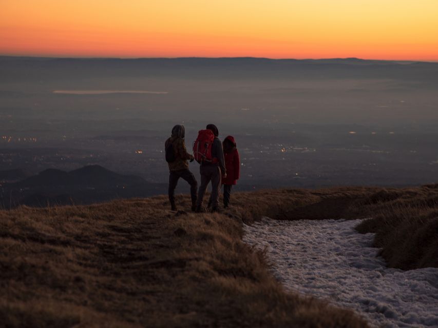 Mount Etna: Morning Excursion with an expert Local Guide - Plants, craters, and Etna’s living surface