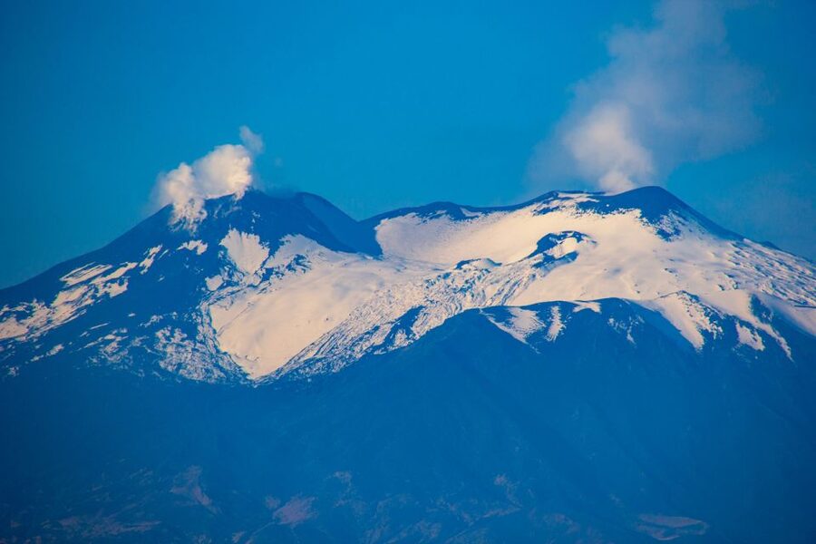 Mount Etna: Private Trek on the North Slope Craters - The remains of Ragabo Pinewood