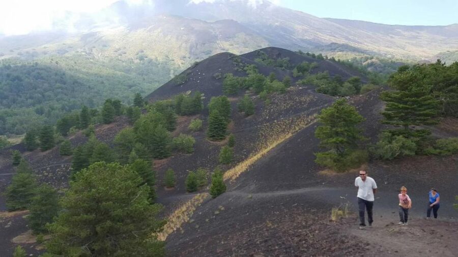 Mount Etna & Taormina Multi-language Tour from Palermo - What the guide and vehicle provide