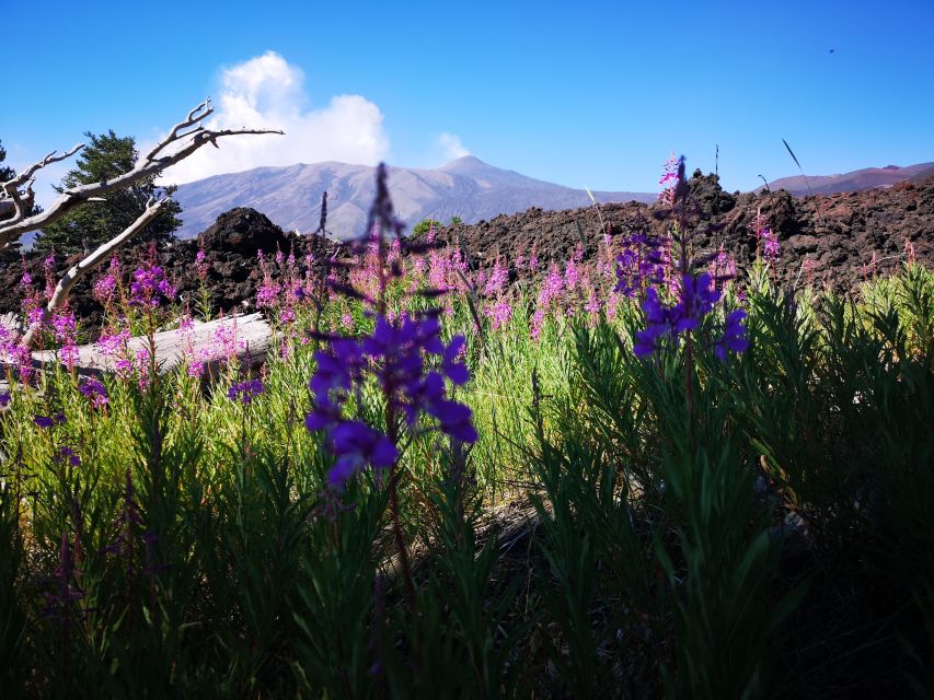 Mount Etna: Trek to the Craters of The 2002 Eruption - Etna in Greek mythology and Sicilian life