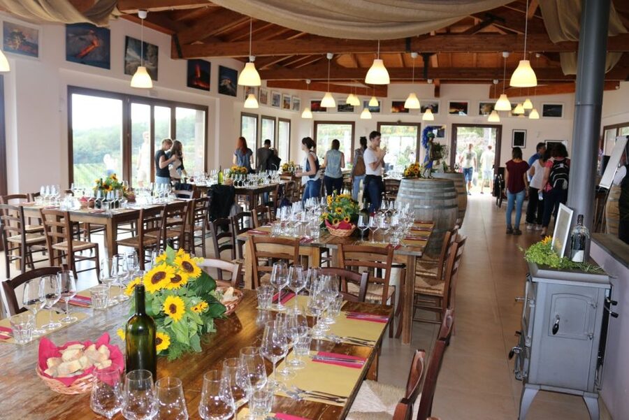 Mount Etna: Winery Tour and Tasting - Your first glass and the winery welcome