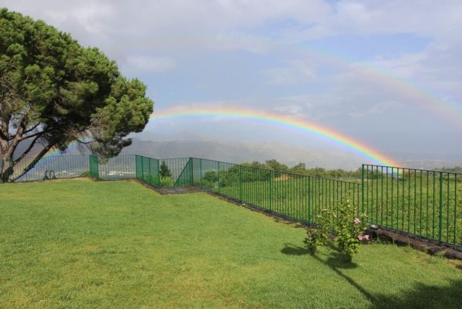 Mount Etna: Winery Tour and Tasting - What the winery visit really includes