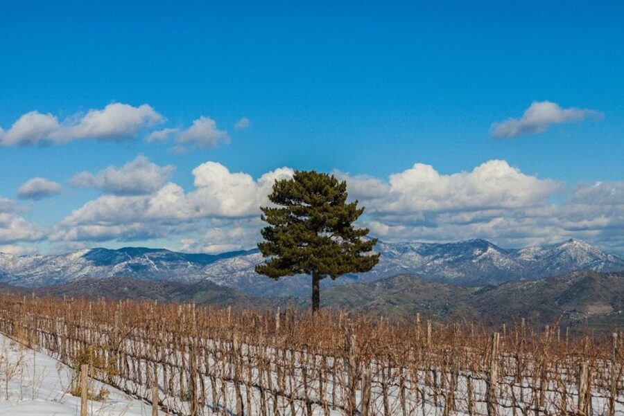 Mount Etna: Winery Tour and Tasting - Getting to Gambino Winery