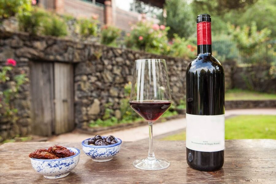 Mount Etna: Winery Tour and Tasting - Five wines, with the possibility of more