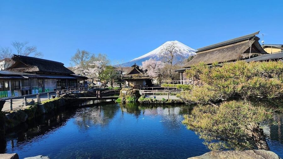 Mount Fuji and Hakone Day tour with English speaking Drivers - Why this private Fuji day works well from Tokyo