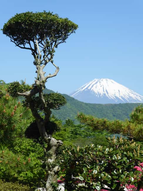 Mount Fuji: Customizable Private Tour By Car With Pickup - Lake Kawaguchi and Oishi Park: two easy wins