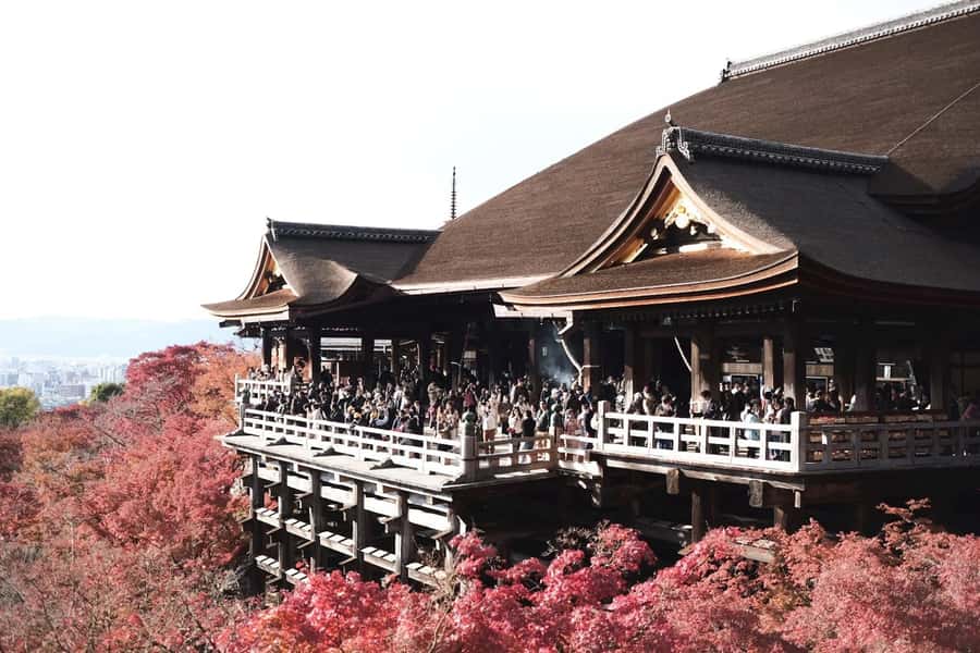 Mount Fuji Customize Private Tour with English Driver - Lake Ashi and Hakone in the same day