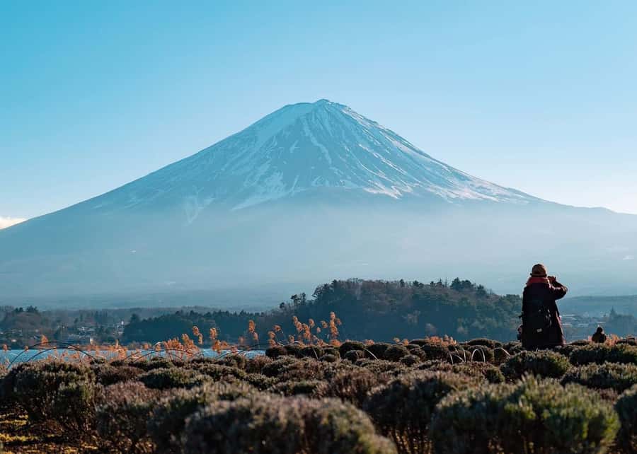 Mount Fuji Full-Day Private Sightseeing Tour with Guide - Key points at a glance