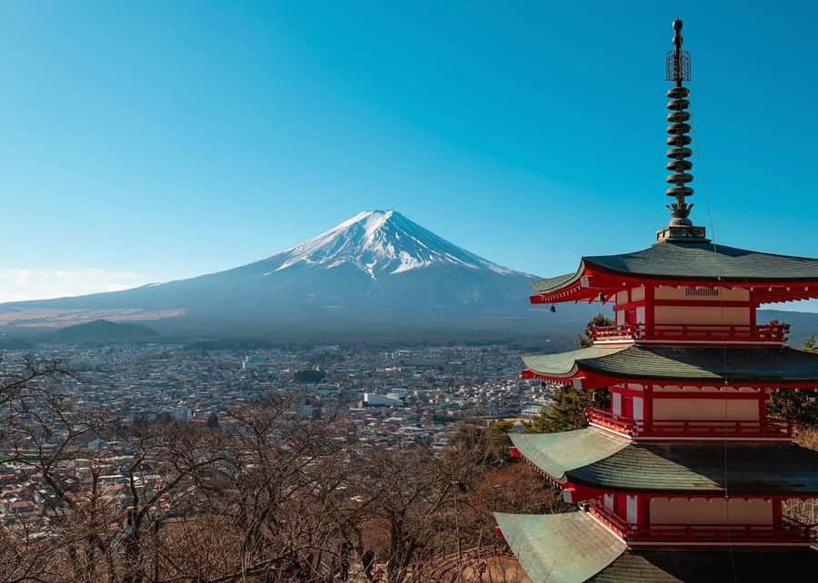 Mount Fuji Full-Day Private Sightseeing Tour with Guide - Why private transport changes the Fuji day