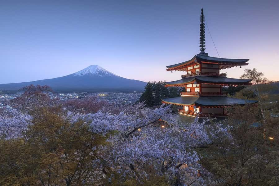 Mount Fuji Full-Day Private Sightseeing Tour with Guide - Oshino Hakkai and Saiko Iyashi no Sato Nemba