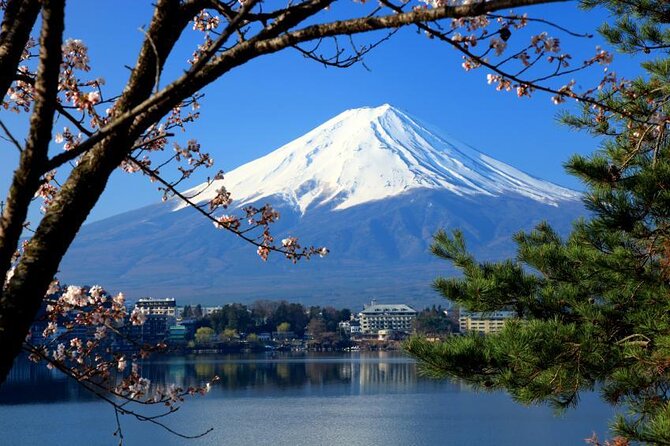 Mount Fuji Full-Day Private Tour from Tokyo (Customizable) - Key points to know before booking