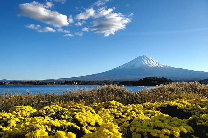 Mount Fuji Full-Day Private Tour from Tokyo (Customizable) - Why a private Mount Fuji day makes sense