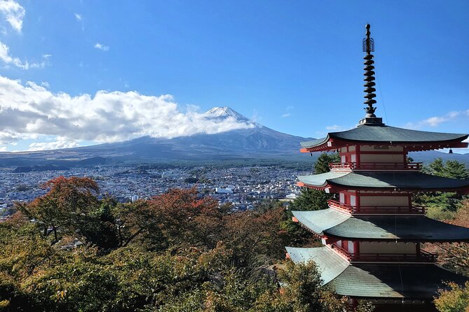 Mount Fuji Full-Day Private Tour from Tokyo (Customizable) - The long ride from Tokyo
