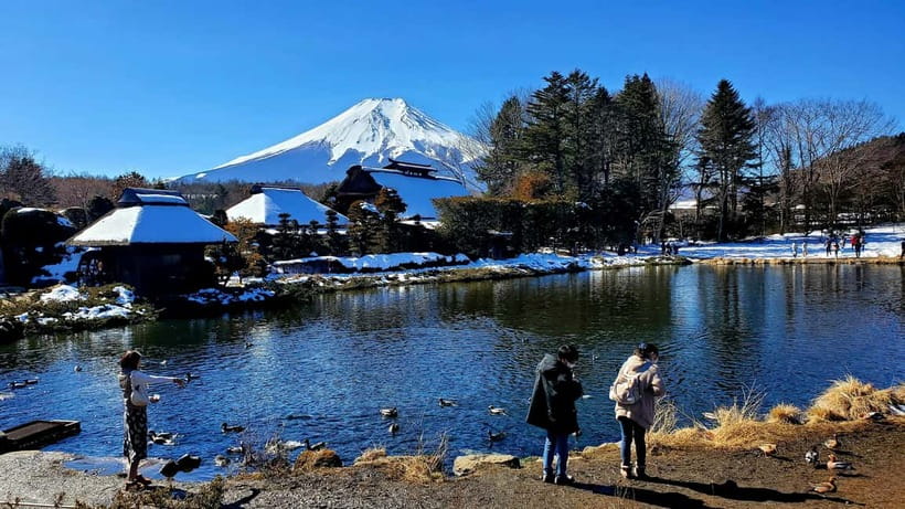 Mount Fuji & Hakone Full-Day Private Tour (Customizable) - Key points at a glance