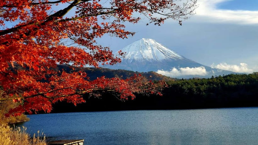 Mount Fuji & Hakone Full-Day Private Tour (Customizable) - Kitaguchi-Hongu Fuji Sengen Shrine adds a quieter pause