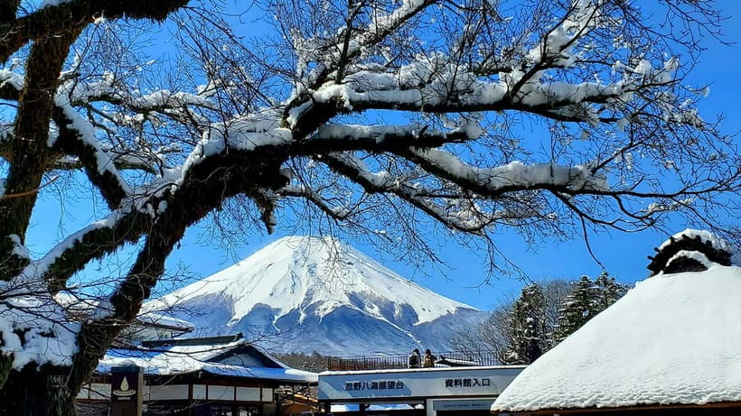 Mount Fuji & Hakone Full-Day Private Tour (Customizable) - Hakone Ropeway crosses volcanic country