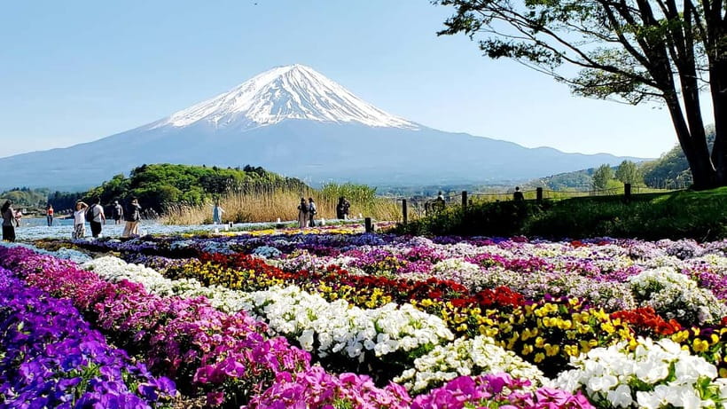 Mount Fuji & Hakone Full-Day Private Tour (Customizable) - Chureito Pagoda gives you the classic Fuji photograph