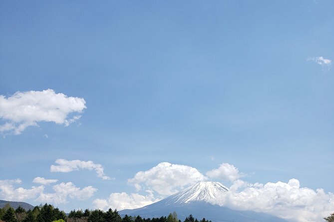 Mount Fuji, Hakone & Lakekawaguchiko Private Group Tour by Car. - Lake Kawaguchiko, lunch, and optional boat rides