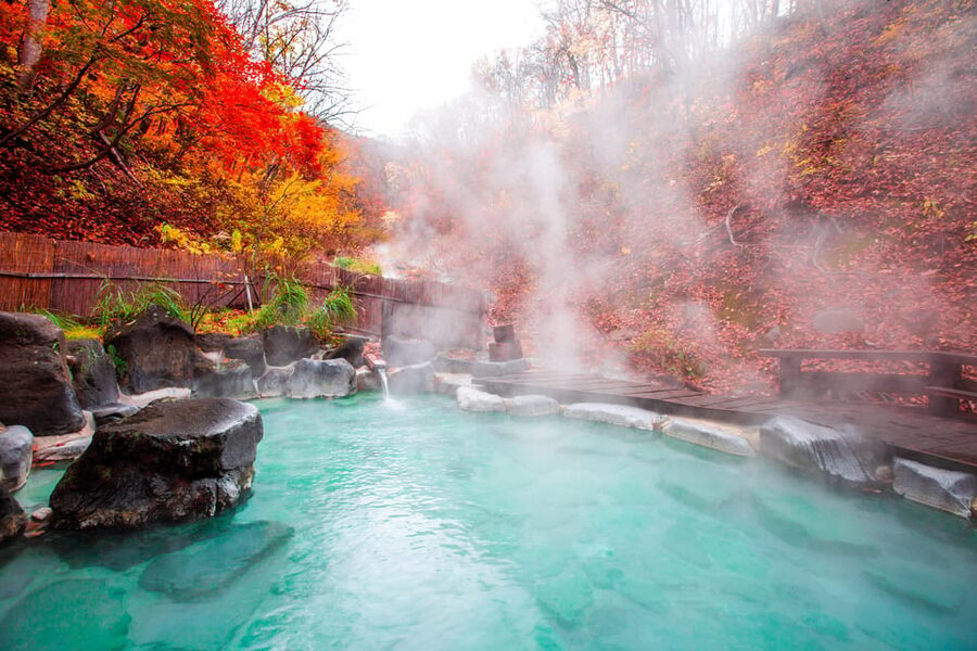 Mount Fuji - Hakone & Onsen Full Day Private Tour - A quiet soak at Fuji Yurari Hot Spring