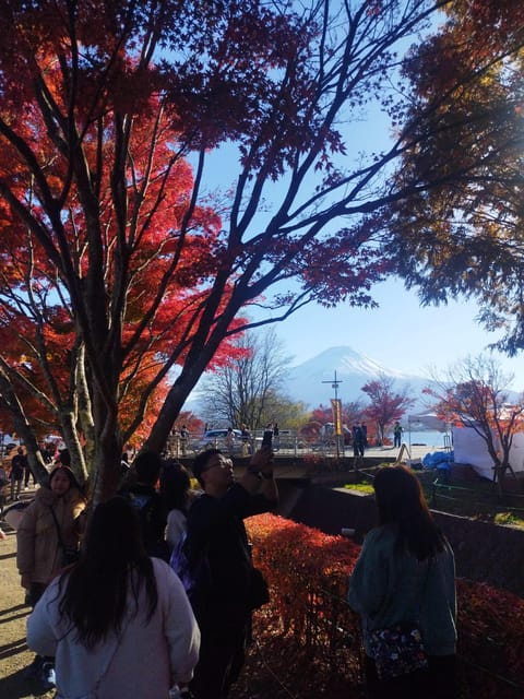 Mount Fuji - Hakone & Onsen Full Day Private Tour - Art among the trees at the Open-Air Museum