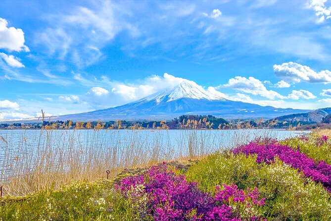 Mount Fuji, Kamakura, Big Buddha, & Lake Ashi Day Trip - Why this Tokyo day trip works