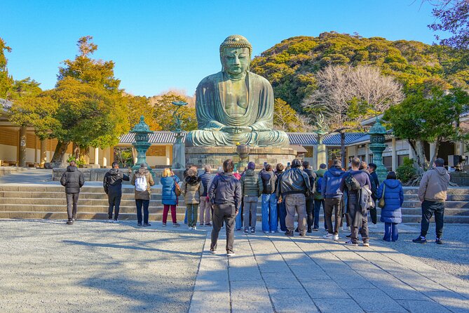 Mount Fuji, Kamakura, Big Buddha, & Lake Ashi Day Trip - Who should take this tour