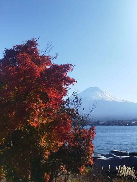 Mount Fuji-Lake Kawaguchi Private Tour with Bilingual Driver - Chureito Pagoda and Arakurayama Sengen Park