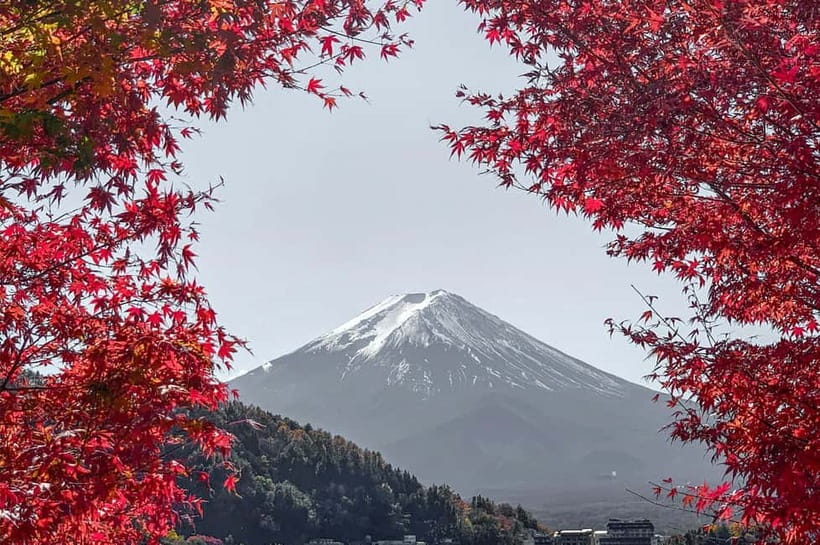 Mount Fuji,Lake Kawaguchiko Private Tour By Car With Pick Up - A full day from your hotel door