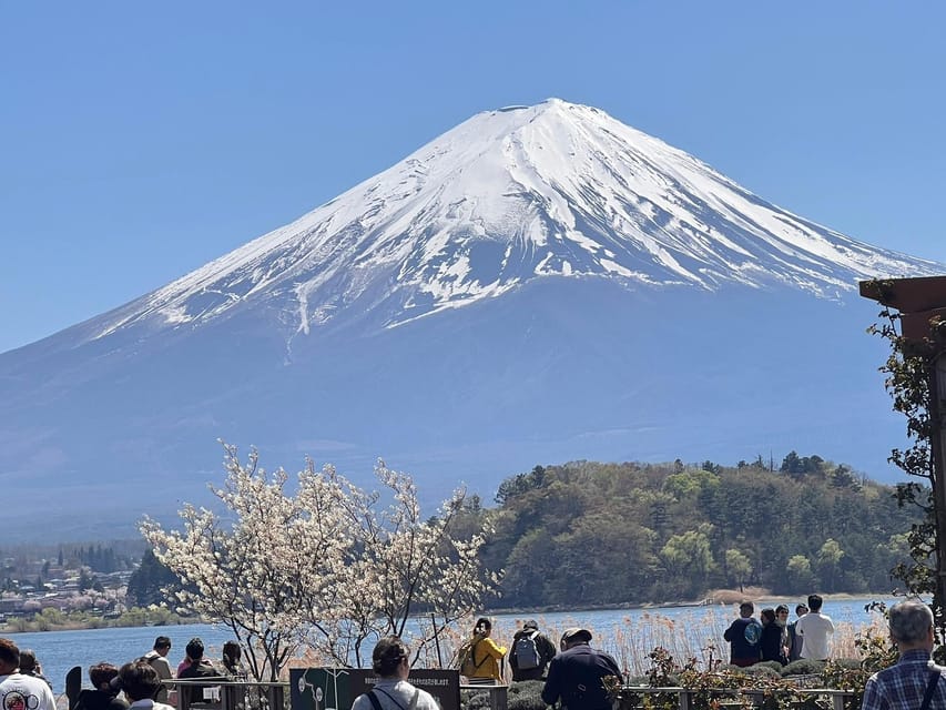 Mount Fuji,Lake Kawaguchiko Private Tour By Car With Pick Up - The guide can make or break the experience