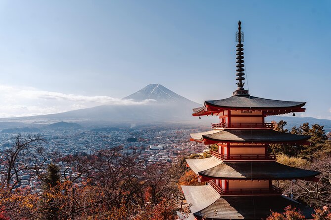 Mount Fuji (Mt. fuji) private tour by car with pickup from Tokyo - Lava caves offer a cool change from the open air