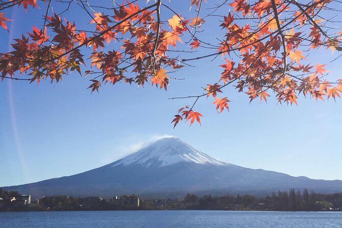 Mount Fuji (Mt. fuji) private tour by car with pickup from Tokyo - Chureito Pagoda gives you the classic Fuji photograph