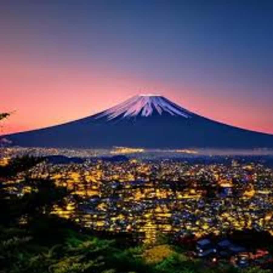 Mount Fuji One Day Private Tour With English Speaking Driver - Oishi Flower Park beside Lake Kawaguchiko