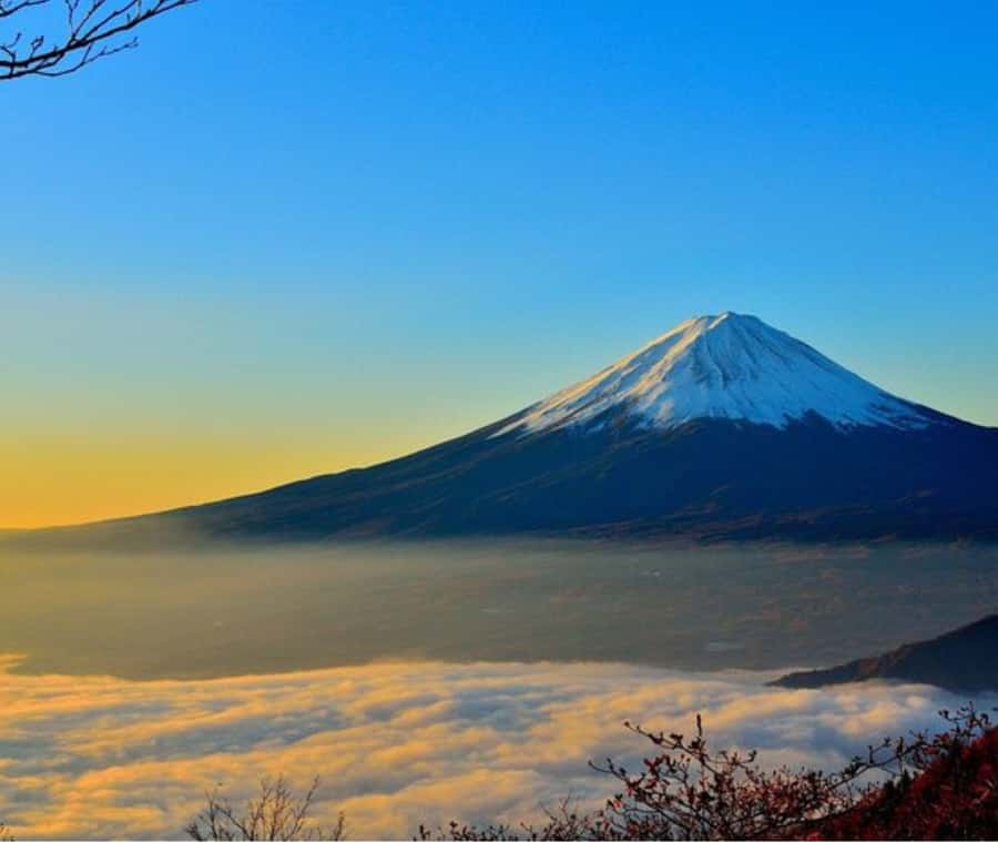 Mount Fuji Private Day Tour customized with English driver - Fuji 5th Station gives you the first major view