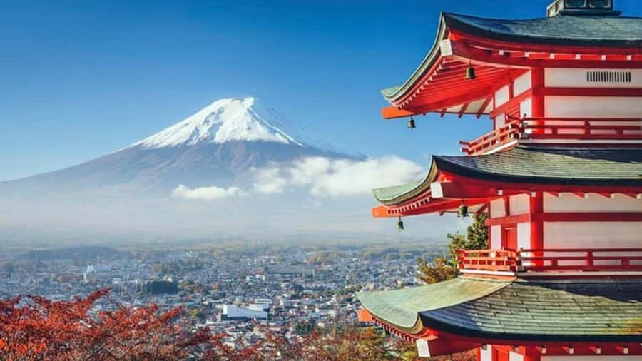 Mount Fuji Private Day Tour customized with English driver - Lake Kawaguchi and Oishi Park slow the pace